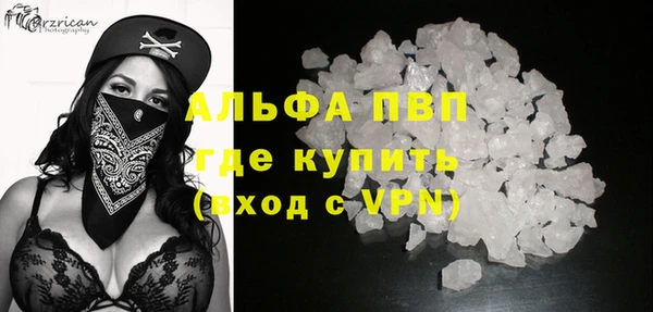 дживик Вяземский