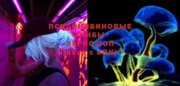 мяу мяу мука Вязьма